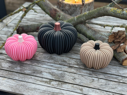 Kürbis | Deko | Herbst